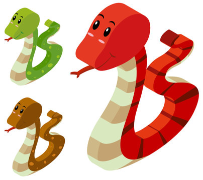 3D design for three snakes