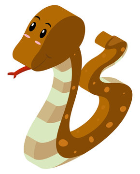 3D design for brown snake