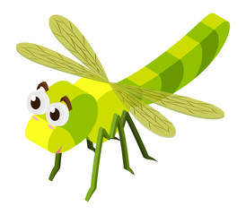 3D design for dragonfly