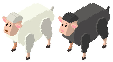 3D design for black and white sheeps