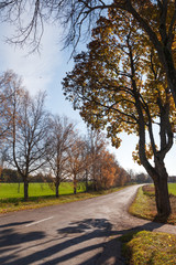 Fototapeta na wymiar Autumn time in latvian countryside.