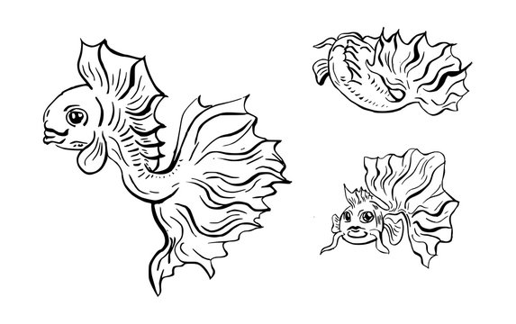 Sierlijke inkttekening van vissen
