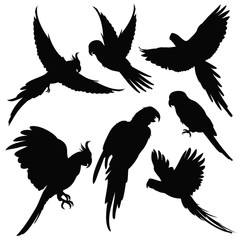Vector parrots, amazon jungle birds silhouettes isolated on white