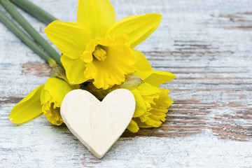 Heart and daffodil lying on wood © Caro