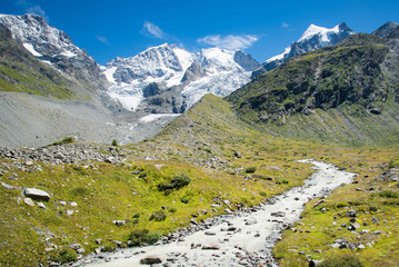 Fototapeta na wymiar Gletschermoräne und idyllischer Bach vor dem Piz Bernina