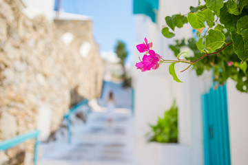 The narrow streets of greek island with flowers. Beautiful architecture building exterior with cycladic style.