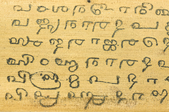 detail of a preserved palm leaf (borassus flabellifer) manuscripts showing writings about ayurvedic medicines in old malayalam script from Kerala, India