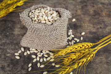 Ears of wheat and bowl of wheat grains