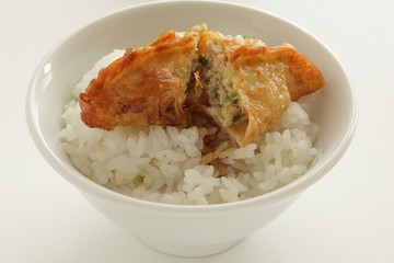 Chinese dumpling on rice