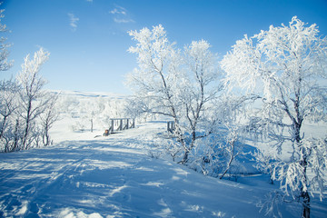 A beautiful white landscape if a snowy Norwegian winter day with a small wooden foot bridge