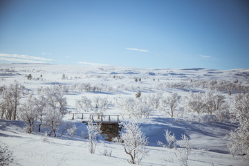 A beautiful white landscape if a snowy Norwegian winter day with a small wooden foot bridge