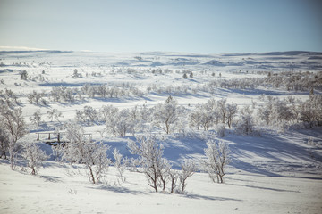 A beautiful white landscape if a snowy Norwegian winter day with a small wooden foot bridge