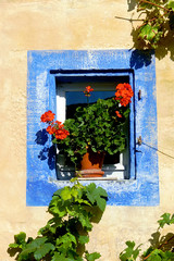 Fototapeta na wymiar Window with flowers