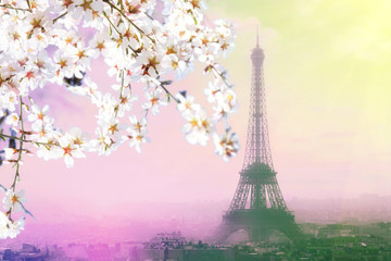 Aerial view of Paris cityscape with Eiffel tower at pink sunset . Vintage colored picture....