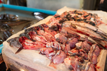 Fish in wet market