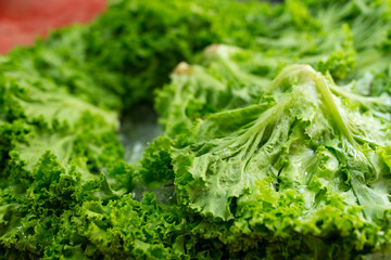 Fresh Lettuce cabbage green in wet market