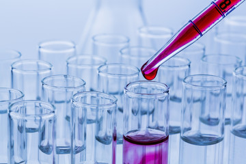 Laborgläser bei Versuch in Chemie Labor