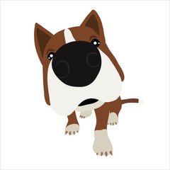 Dog with large head and nose. Vector Illustration