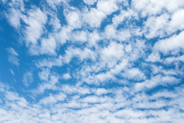 Altocumulus cloudscape on blue blue sky, Beautiful Cirrocumulus or Altocumulus on the middle altitude layer - obrazy, fototapety, plakaty