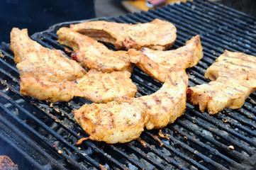 Grilling marinated shashlik on a grill. Shashlik is a form of Shish kebab popular in Eastern, Central Europe and other places. 