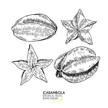 Vector hand drawn set of exotic fruits. Isolated carambola. Engraved art. Delicious tropical vegetarian objects. smoothie bowls.