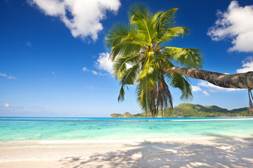Seychellen - Urlaubsparadies