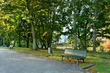 Walkway in the park