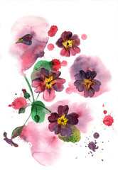 Watercolor hand painted illustration with purple petunia on multicolor background. Floral birthday card