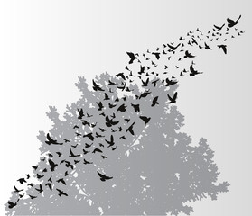  isolated, a flock of birds flying against a background of wood
