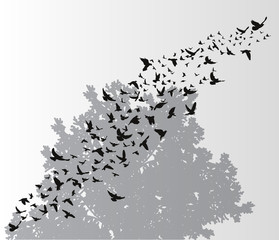  isolated, a flock of birds flying against a background of wood