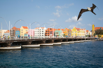 Fototapeta na wymiar Willemstad Panorama mit Fregattvogel