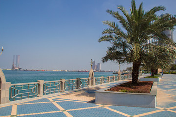 Corniche with palm trees in the city of Abu Dhabi, UAE