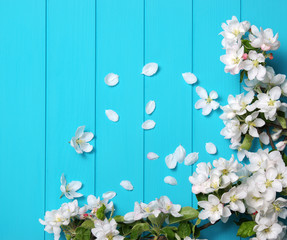 Spring flowering branch on wooden background.