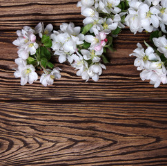 Fototapeta na wymiar Spring flowers on wood