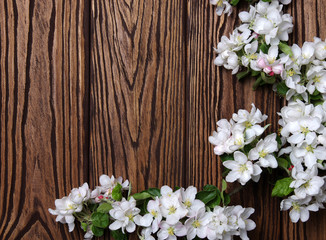  Spring flowers on wood