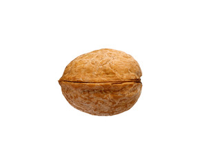 Single walnut isolated on a white