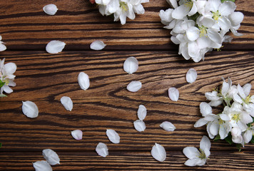  Spring flowers on wood