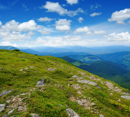 Mountain landscape in the summer