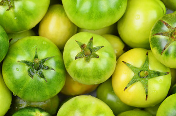 Green tomato, close up