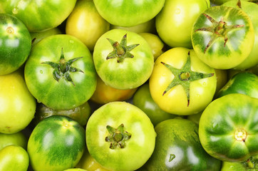Green tomato, close up