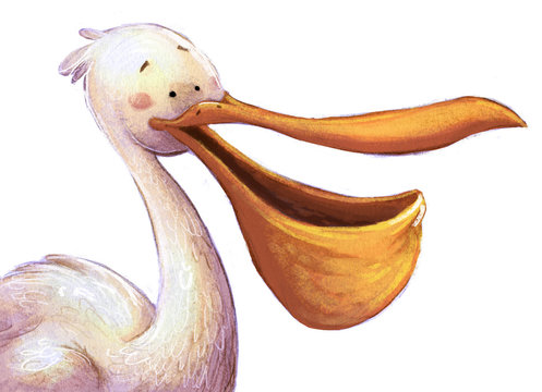 Pelicano alegre