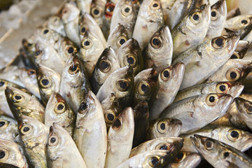 Obraz premium Fish market 