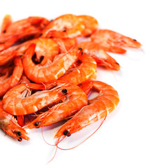 Fresh raw shrimps isolated on white  background