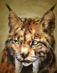 cara de lince