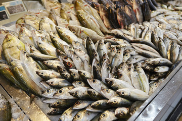 Fototapeta premium Fresh fish