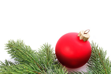Red Christmas ball and fir branches . xmas decoration isolated