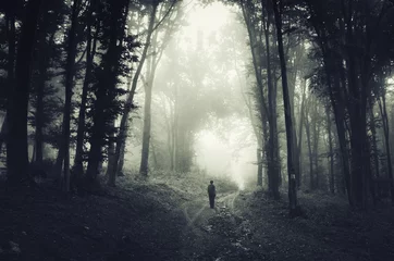 Foto auf Alu-Dibond Scary dark woods landscape. Man walking on forest road at night © andreiuc88