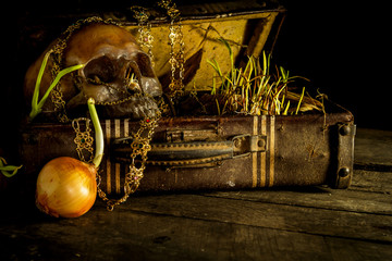Still life with human skull with old treasure chest and gold, diamond, jewelry,corn shoots, onion...