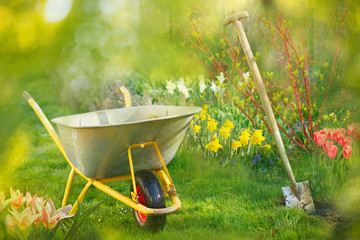 Gartenarbeit im Frühling