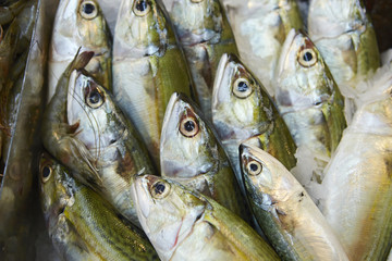 Fototapeta premium Fish market 